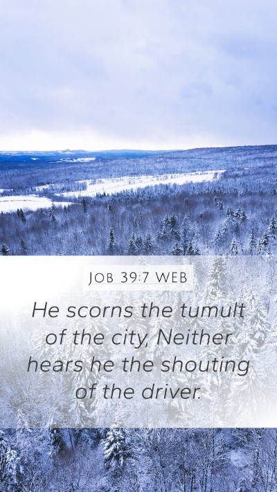 Job 39:7 WEB Bible Verse Image