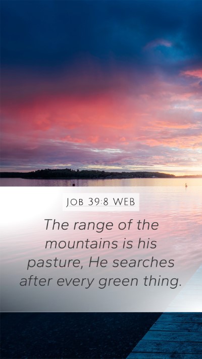 Job 39:8 WEB Mobile Phone Wallpaper - The range of the mountains is his pasture, He - Mobile Bible Verse Wallpaper