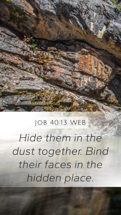 Job 40:13 WEB Bible Verse Image