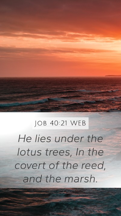 Job 40:21 WEB Mobile Phone Wallpaper - He lies under the lotus trees, In the covert of - Mobile Bible Verse Wallpaper