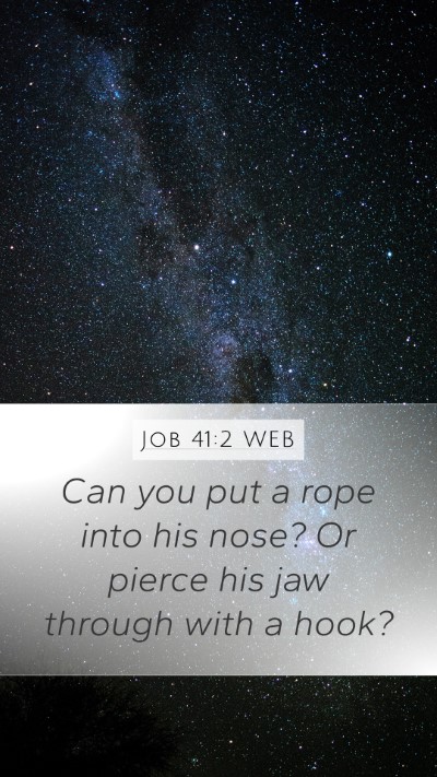 Job 41:2 WEB Mobile Phone Wallpaper - Can you put a rope into his nose? Or pierce his - Mobile Bible Verse Wallpaper