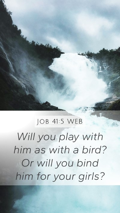 Job 41:5 WEB Bible Verse Image