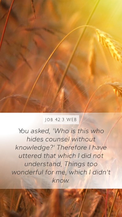 Job 42:3 WEB Bible Verse Image