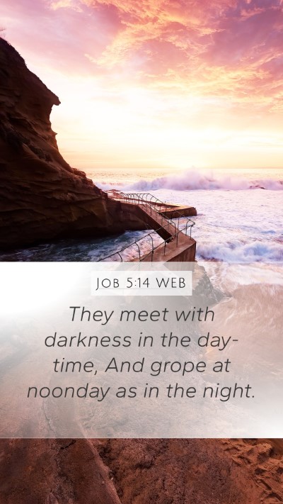 Job 5:14 WEB Bible Verse Image