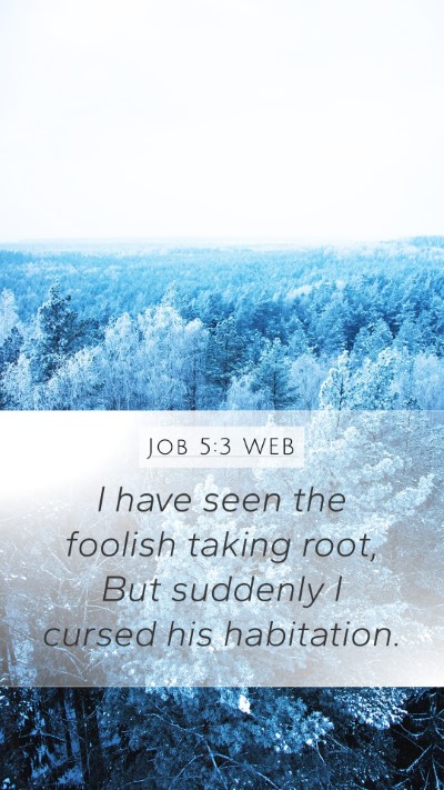 Job 5:3 WEB Bible Verse Image