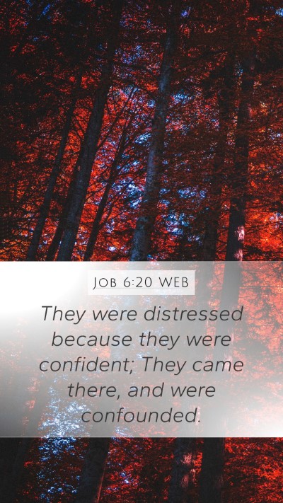 Job 6:20 WEB Bible Verse Image