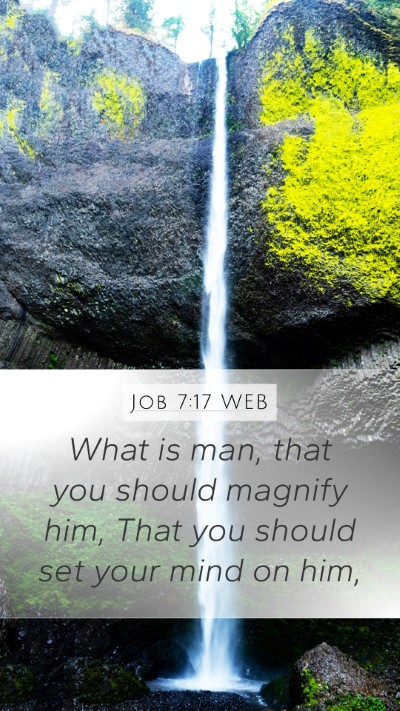 Job 7:17 WEB Bible Verse Image