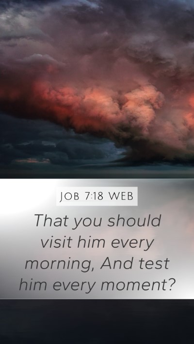 Job 7:18 WEB Mobile Phone Wallpaper - That you should visit him every morning, And test - Mobile Bible Verse Wallpaper