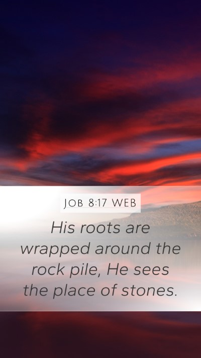 Job 8:17 WEB Mobile Phone Wallpaper - His roots are wrapped around the rock pile, He - Mobile Bible Verse Wallpaper
