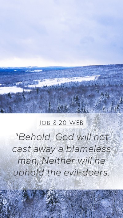 Job 8:20 WEB Bible Verse Image