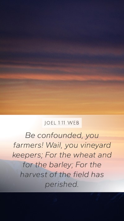 Joel 1:11 WEB Bible Verse Image