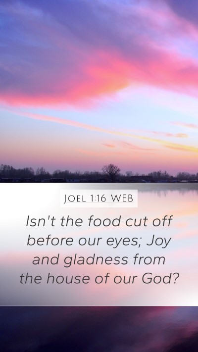 Joel 1:16 WEB Bible Verse Image