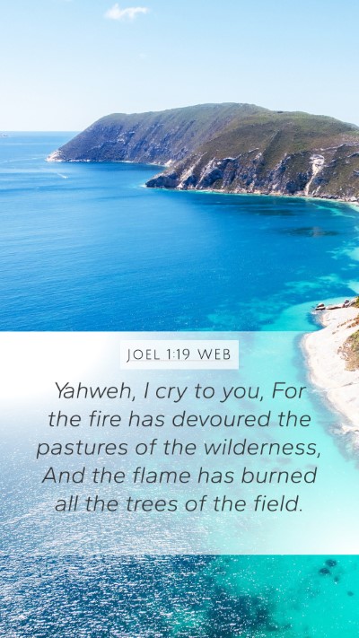 Joel 1:19 WEB Bible Verse Image