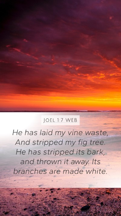 Joel 1:7 WEB Bible Verse Image