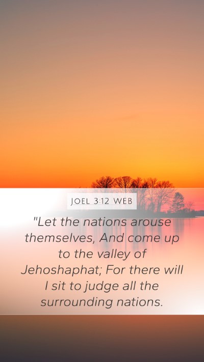 Joel 3:12 WEB Bible Verse Image