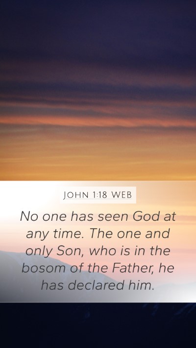 John 1:18 WEB Bible Verse Image