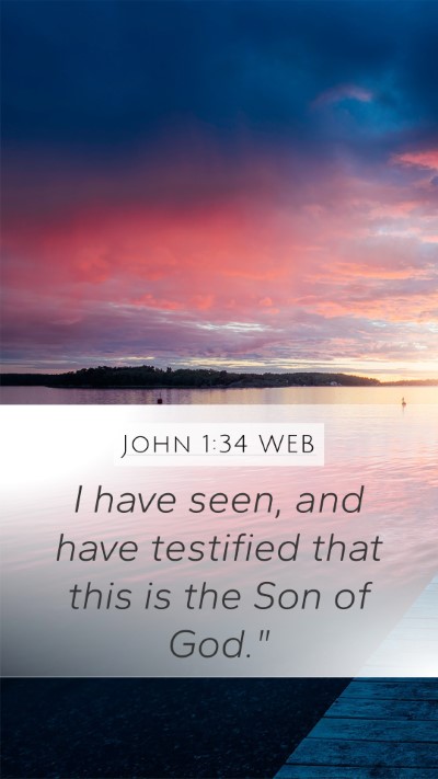 John 1:34 WEB Bible Verse Image