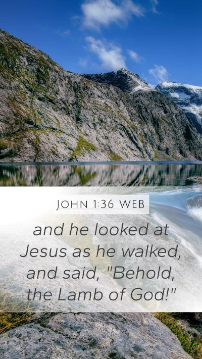 John 1:36 WEB Bible Verse Image