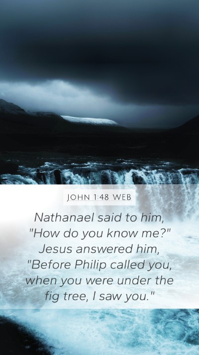 John 1:48 WEB Bible Verse Image