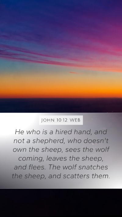 John 10:12 WEB Bible Verse Image