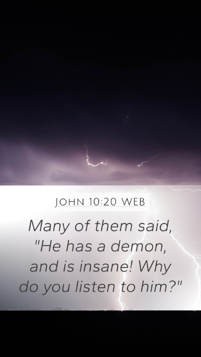 John 10:20 WEB Bible Verse Image