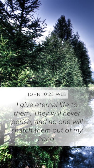 John 10:28 WEB Bible Verse Image