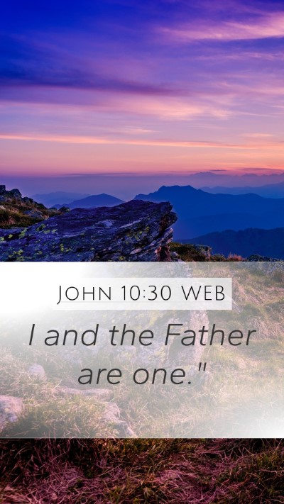John 10:30 WEB Bible Verse Image