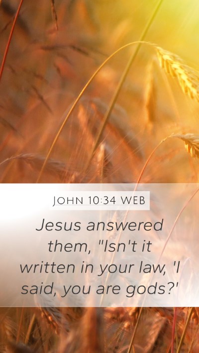 John 10:34 WEB Bible Verse Image