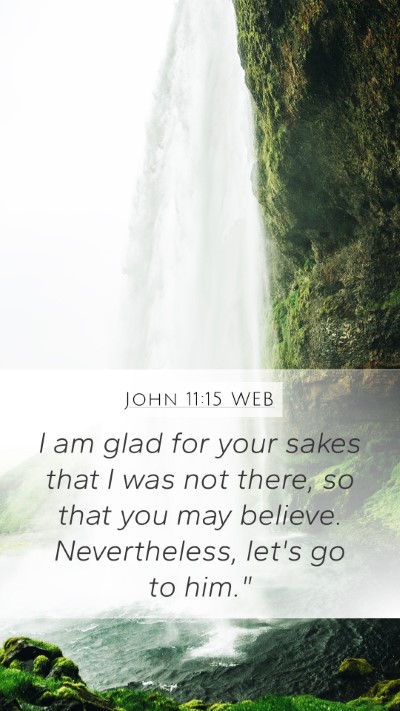 John 11:15 WEB Bible Verse Image