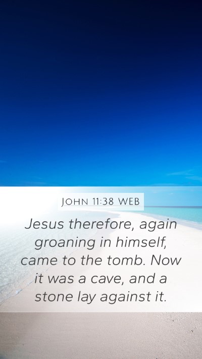 John 11:38 WEB Mobile Phone Wallpaper - Jesus therefore, again groaning in himself, came - Mobile Bible Verse Wallpaper