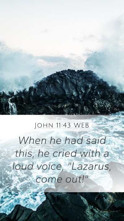 John 11:43 WEB Bible Verse Image