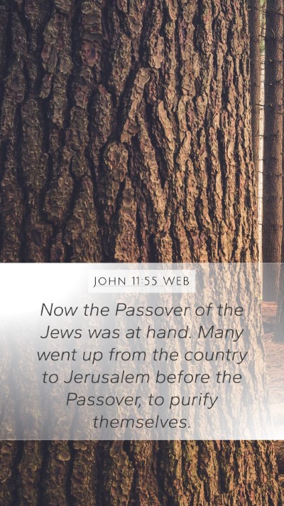 John 11:55 WEB Bible Verse Image