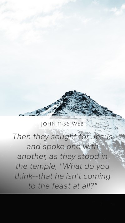 John 11:56 WEB Bible Verse Image