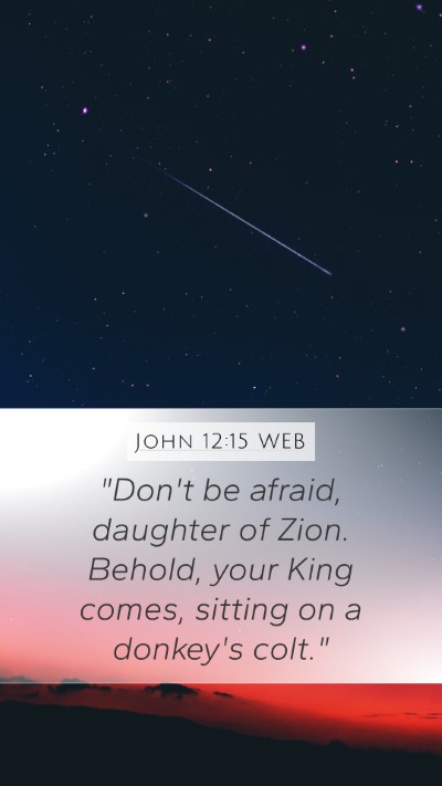 John 12:15 WEB Bible Verse Image