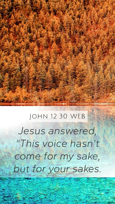 John 12:30 WEB Mobile Phone Wallpaper - Jesus answered, 