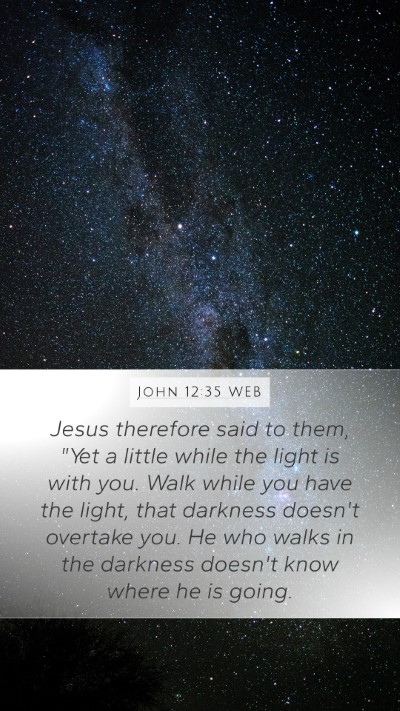 John 12:35 WEB Bible Verse Image