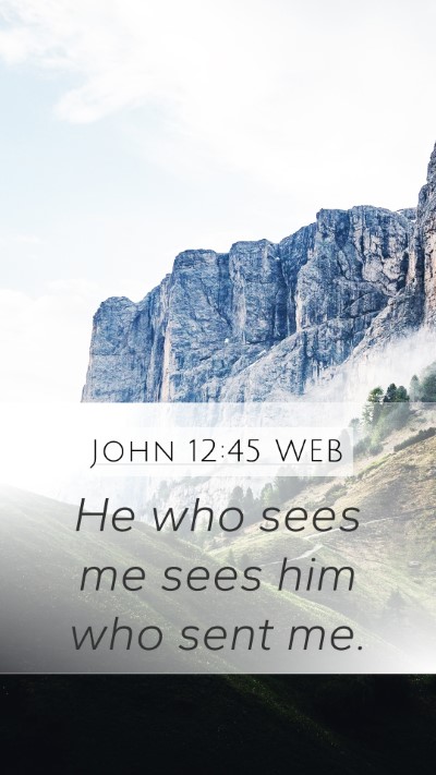 John 12:45 WEB Mobile Phone Wallpaper - He who sees me sees him who sent - Mobile Bible Verse Wallpaper
