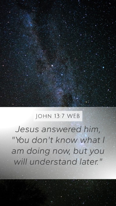 John 13:7 WEB Bible Verse Image