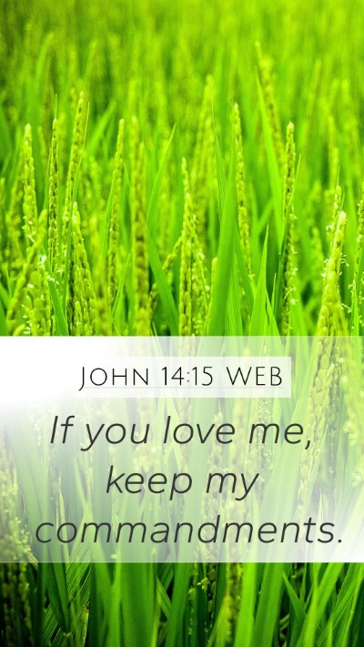 John 14:15 WEB Bible Verse Image