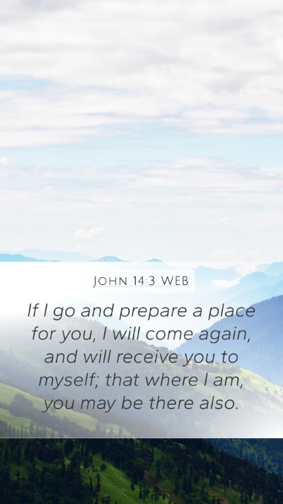 John 14:3 WEB Bible Verse Image