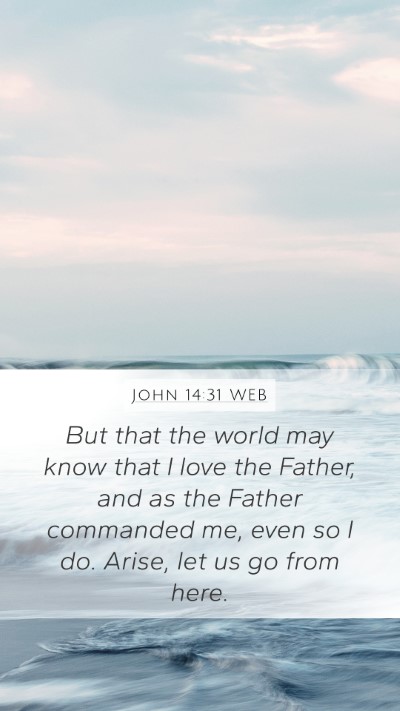 John 14:31 WEB Bible Verse Image