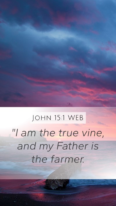 John 15:1 WEB Bible Verse Image