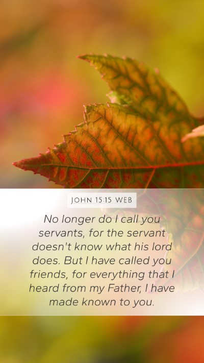 John 15:15 WEB Bible Verse Image