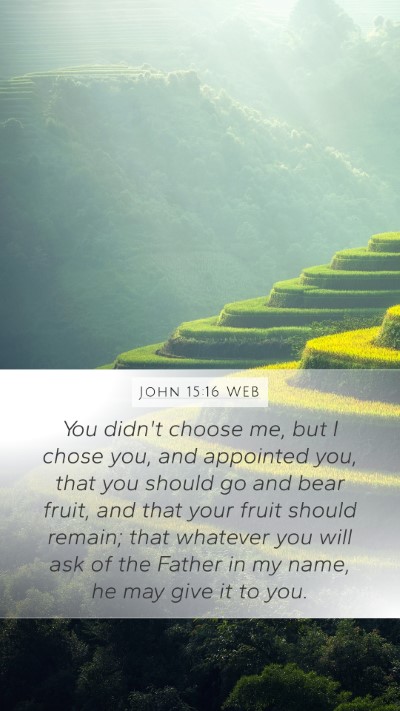 John 15:16 WEB Bible Verse Image