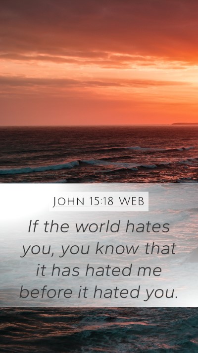 John 15:18 WEB Mobile Phone Wallpaper - If the world hates you, you know that it has - Mobile Bible Verse Wallpaper