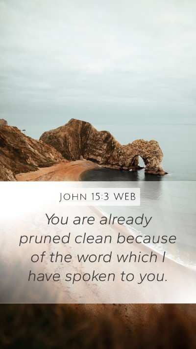 John 15:3 WEB Bible Verse Image
