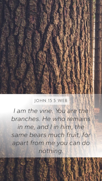 John 15:5 WEB Bible Verse Image