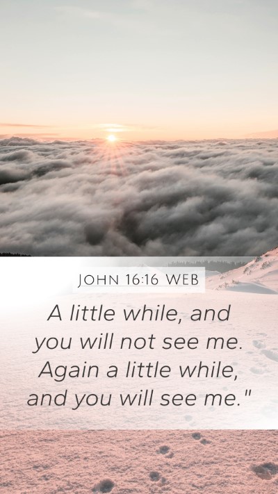 John 16:16 WEB Bible Verse Image