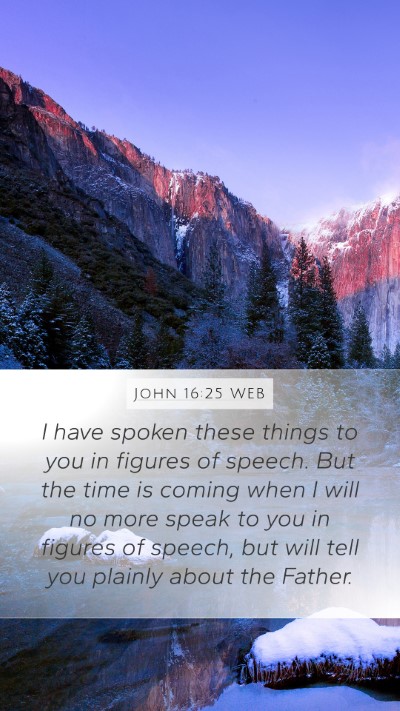 John 16:25 WEB Bible Verse Image
