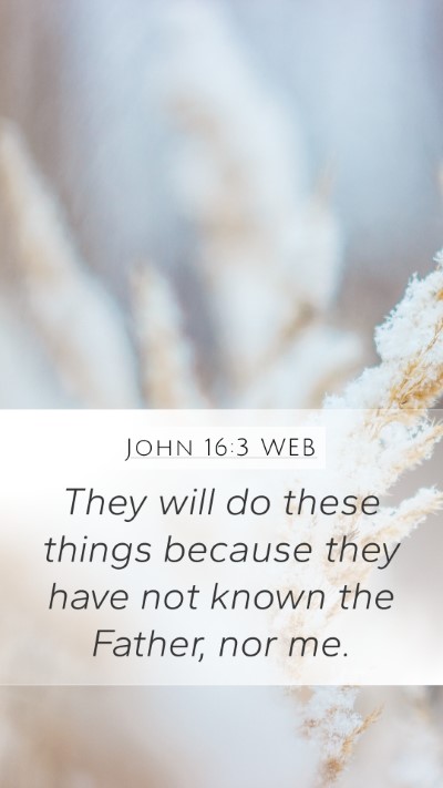 John 16:3 WEB Bible Verse Image